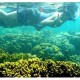 Ini 10 Tempat Menyelam Terbaik Dunia